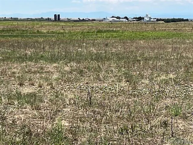 Manila Watkins, CO 80137