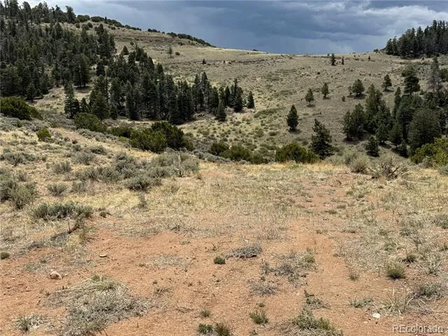 Lot 5428 Balleroy Road Fort Garland, CO 81133