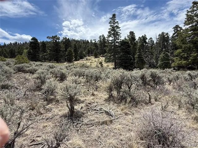 Lot 5428 Balleroy Road Fort Garland, CO 81133