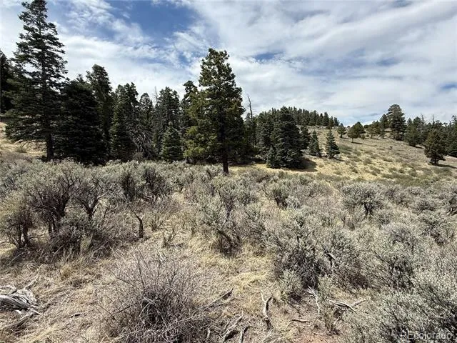 Lot 5428 Balleroy Road Fort Garland, CO 81133