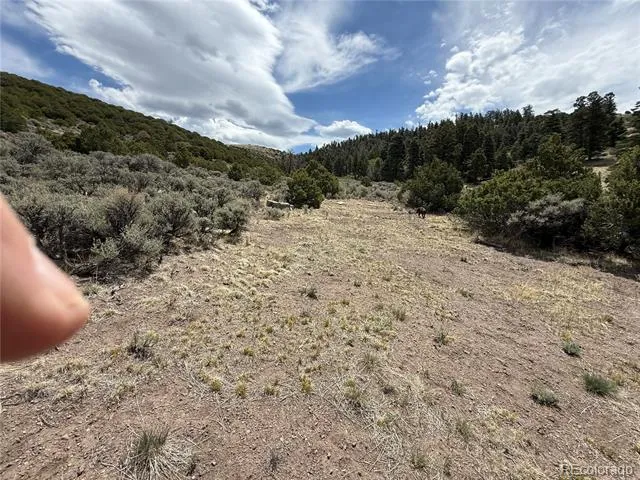 Lot 5428 Balleroy Road Fort Garland, CO 81133