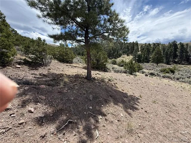 Lot 5428 Balleroy Road Fort Garland, CO 81133