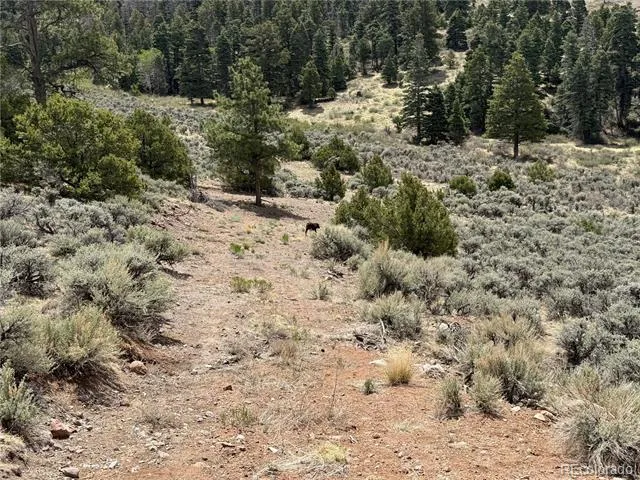 Lot 5428 Balleroy Road Fort Garland, CO 81133