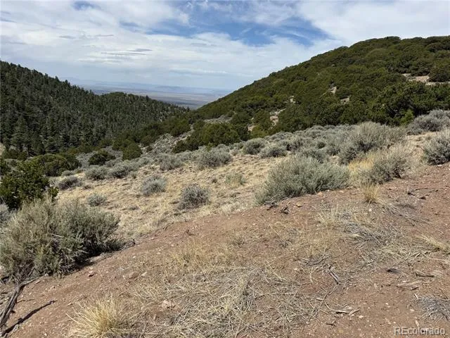 Lot 5428 Balleroy Road Fort Garland, CO 81133