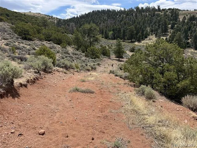 Lot 5428 Balleroy Road Fort Garland, CO 81133