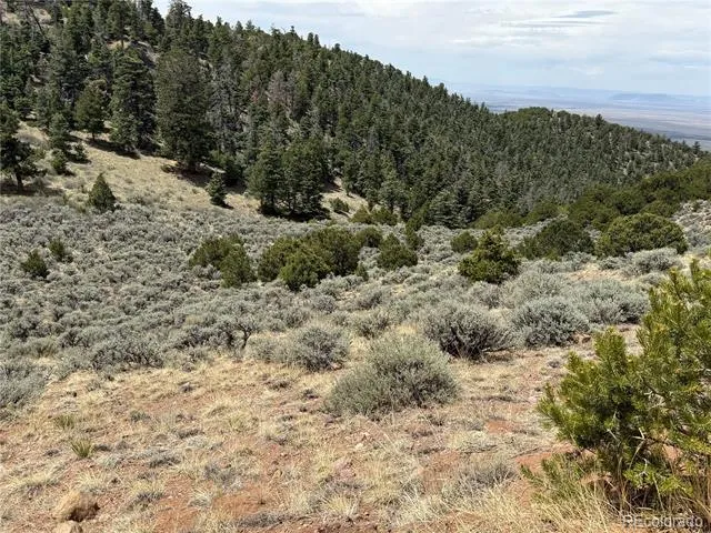 Lot 5428 Balleroy Road Fort Garland, CO 81133