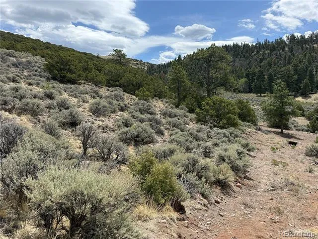 Lot 5428 Balleroy Road Fort Garland, CO 81133