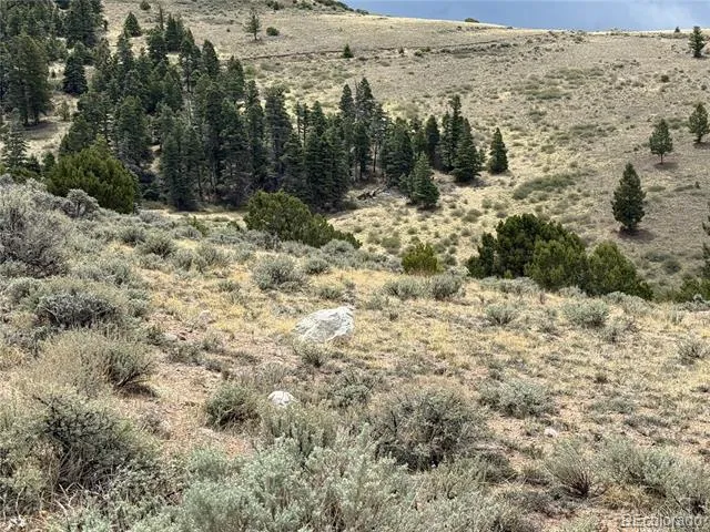 Lot 5428 Balleroy Road Fort Garland, CO 81133