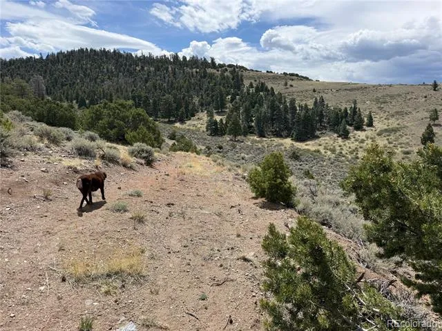Lot 5428 Balleroy Road Fort Garland, CO 81133