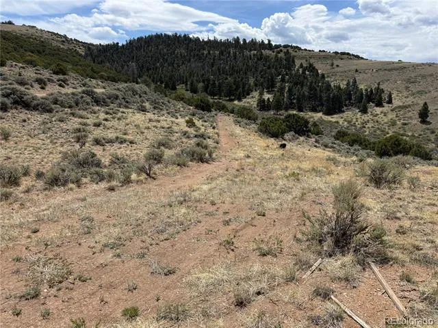 Lot 5428 Balleroy Road Fort Garland, CO 81133