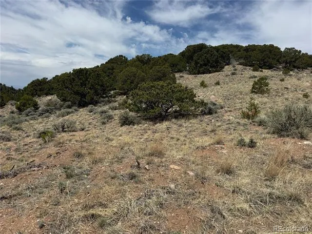 Lot 5428 Balleroy Road Fort Garland, CO 81133