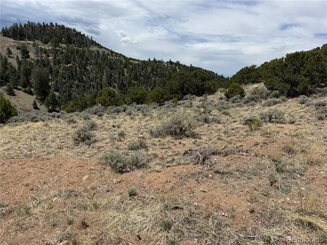 Lot 5428 Balleroy Road Fort Garland, CO 81133
