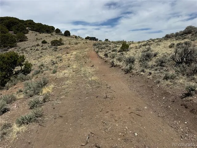 Lot 5428 Balleroy Road Fort Garland, CO 81133