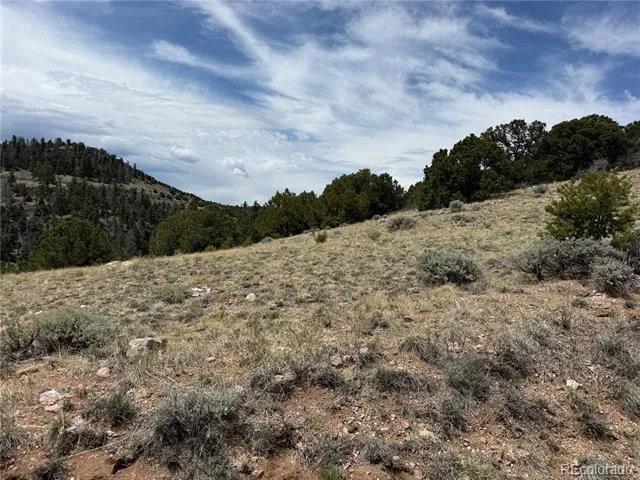 Lot 5428 Balleroy Road Fort Garland, CO 81133