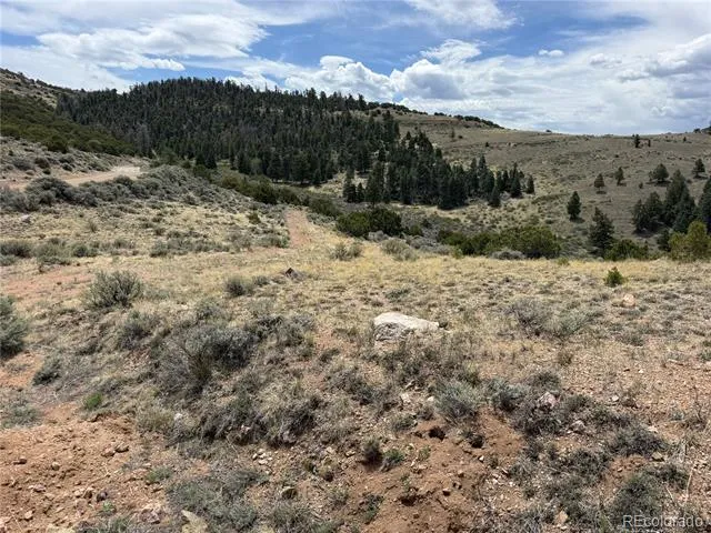 Lot 5428 Balleroy Road Fort Garland, CO 81133