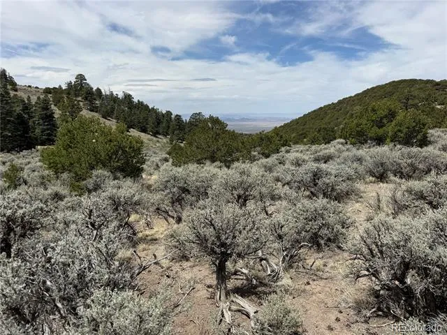 Lot 5428 Balleroy Road Fort Garland, CO 81133
