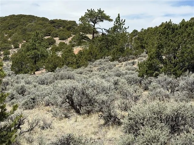 Lot 5428 Balleroy Road Fort Garland, CO 81133