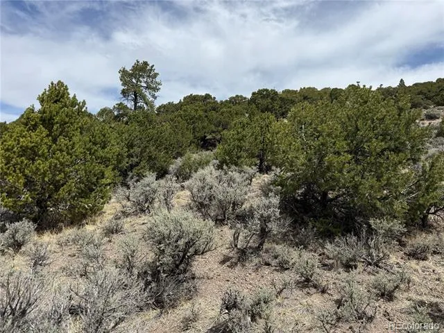 Lot 5428 Balleroy Road Fort Garland, CO 81133