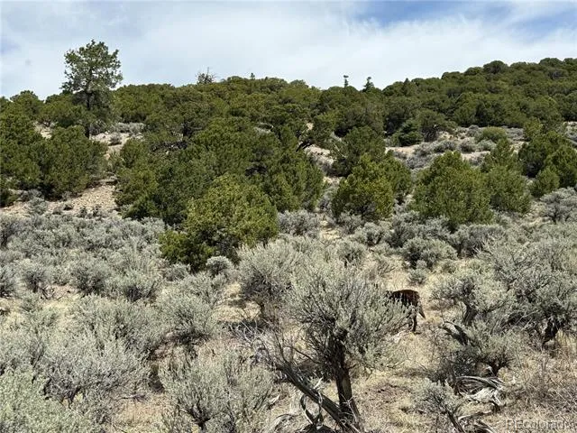 Lot 5428 Balleroy Road Fort Garland, CO 81133