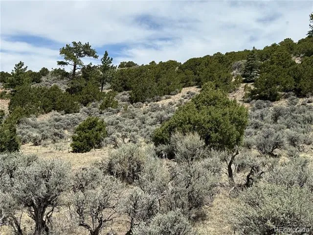 Lot 5428 Balleroy Road Fort Garland, CO 81133