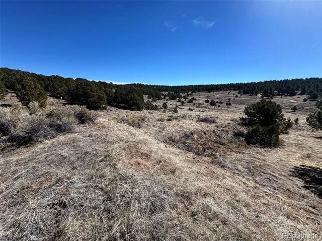 514 Kiowa Road Westcliffe, CO 81252