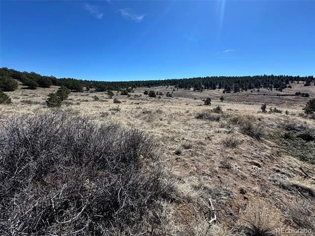 514 Kiowa Road Westcliffe, CO 81252