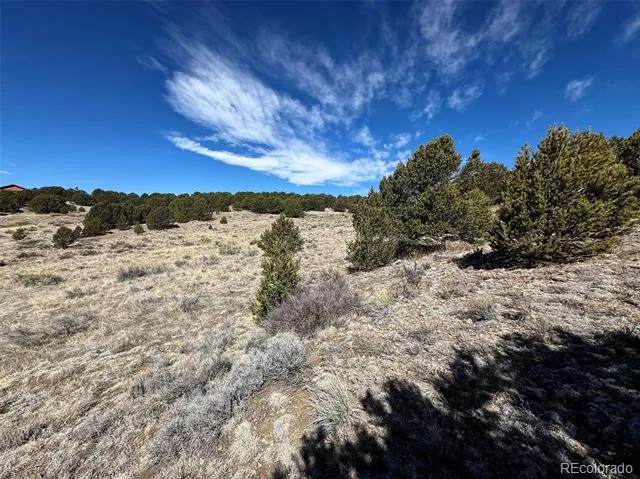 514 Kiowa Road Westcliffe, CO 81252