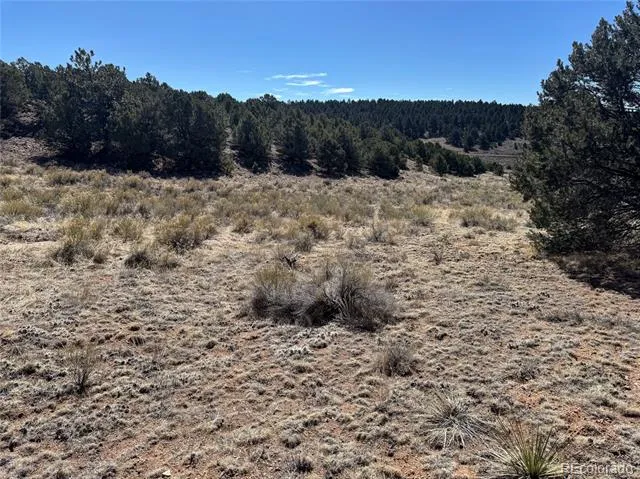 514 Kiowa Road Westcliffe, CO 81252