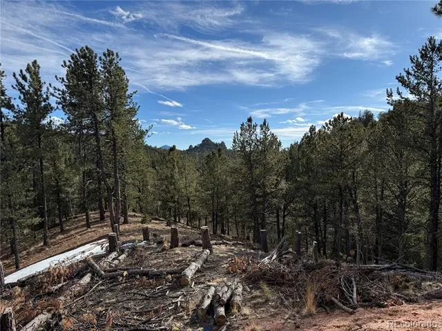 162 Eagle Drive Divide, CO 80813