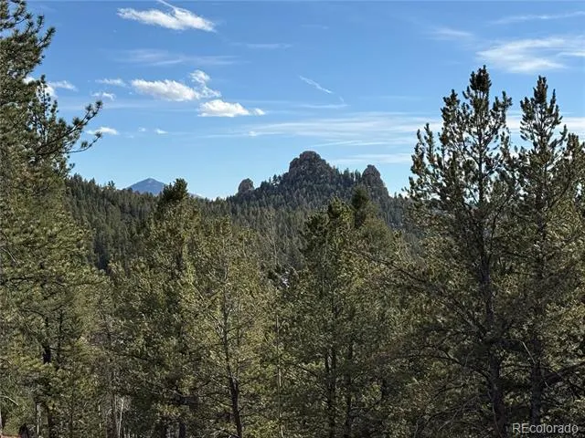 162 Eagle Drive Divide, CO 80813