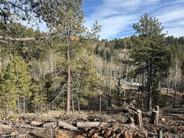 162 Eagle Drive Divide, CO 80813