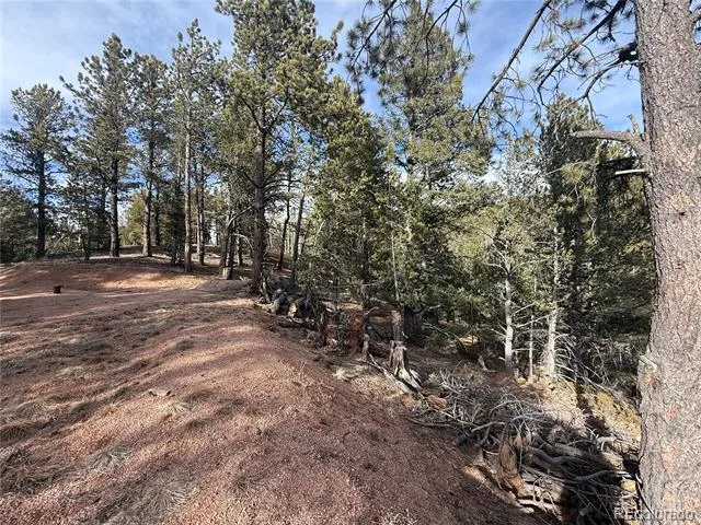 162 Eagle Drive Divide, CO 80813