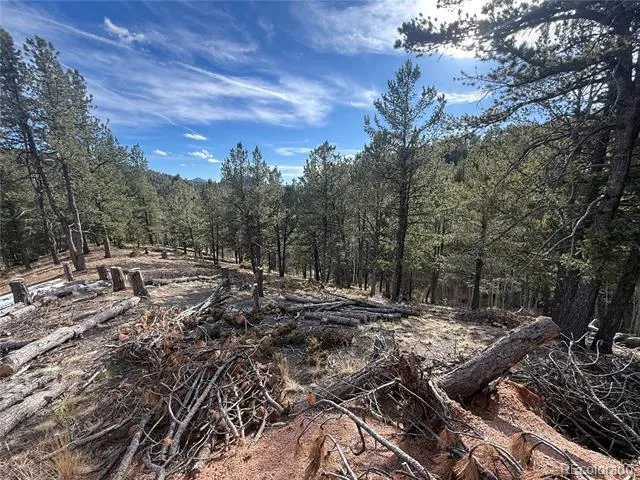 162 Eagle Drive Divide, CO 80813