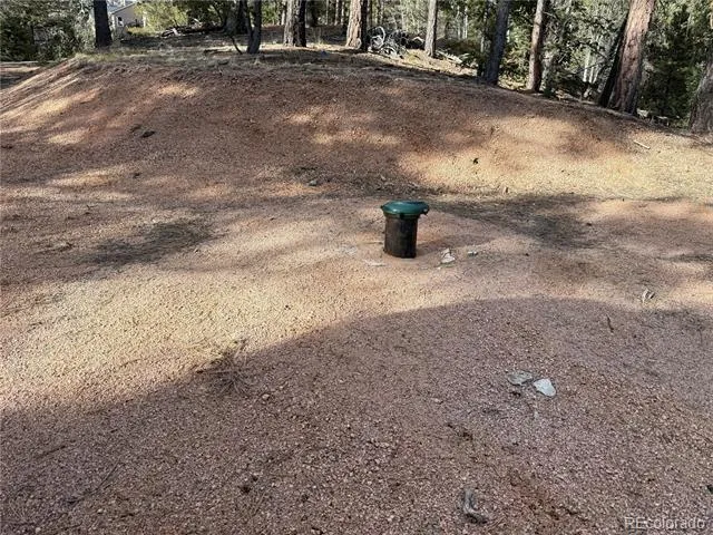 162 Eagle Drive Divide, CO 80813