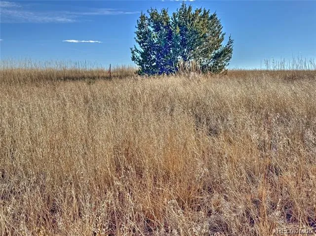 TBD-L309 Morgan Place Colorado City, CO 81019
