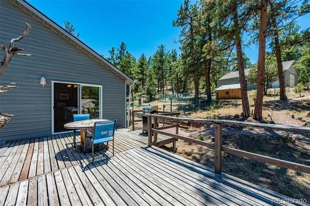 632 Nels Drive Cotopaxi, CO 81223