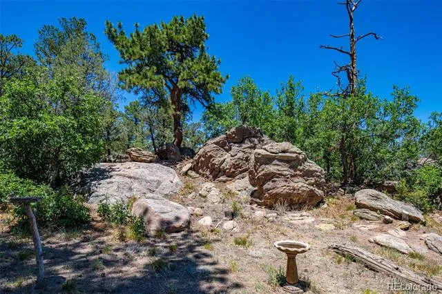 632 Nels Drive Cotopaxi, CO 81223