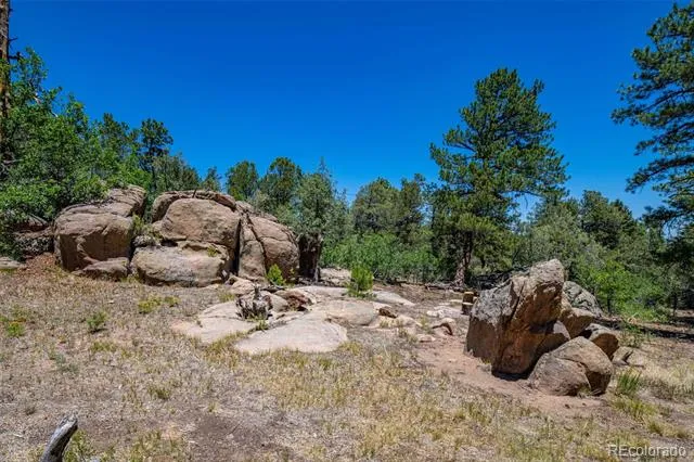 632 Nels Drive Cotopaxi, CO 81223
