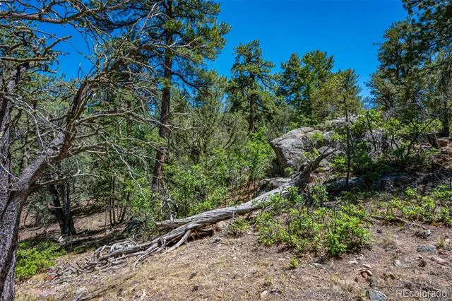 632 Nels Drive Cotopaxi, CO 81223