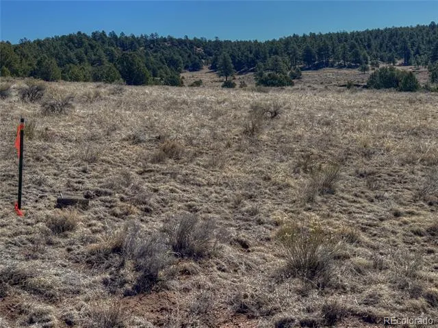885 Crow Road Westcliffe, CO 81252