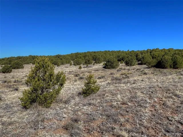 885 Crow Road Westcliffe, CO 81252