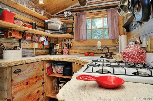 226 S San Juan Avenue #6 and 7 Buena Vista, CO 81211