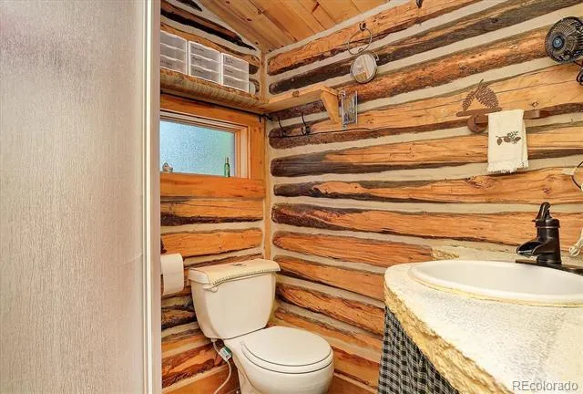 226 S San Juan Avenue #6 and 7 Buena Vista, CO 81211