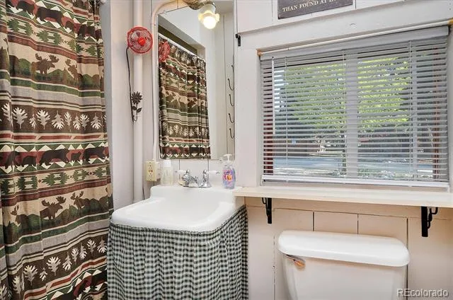 226 S San Juan Avenue #6 and 7 Buena Vista, CO 81211