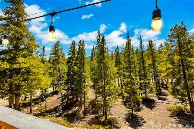 375 Gold Trail Fairplay, CO 80440