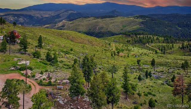 33888 Mineral Lane Pine, CO 80470
