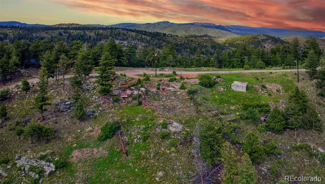 33888 Mineral Lane Pine, CO 80470