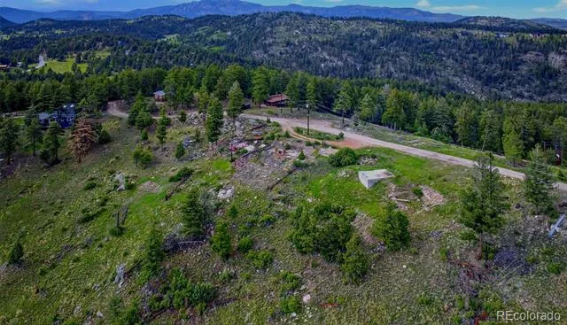 33888 Mineral Lane Pine, CO 80470