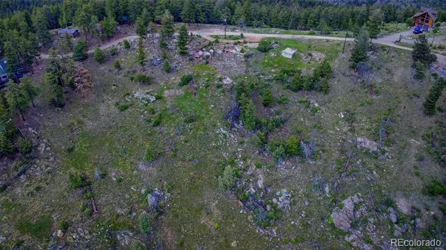 33888 Mineral Lane Pine, CO 80470