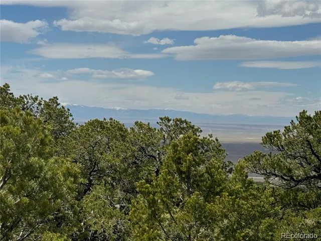338 Cedar Ridge Road Mosca, CO 81146